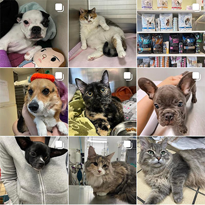 image grid of don valley patients